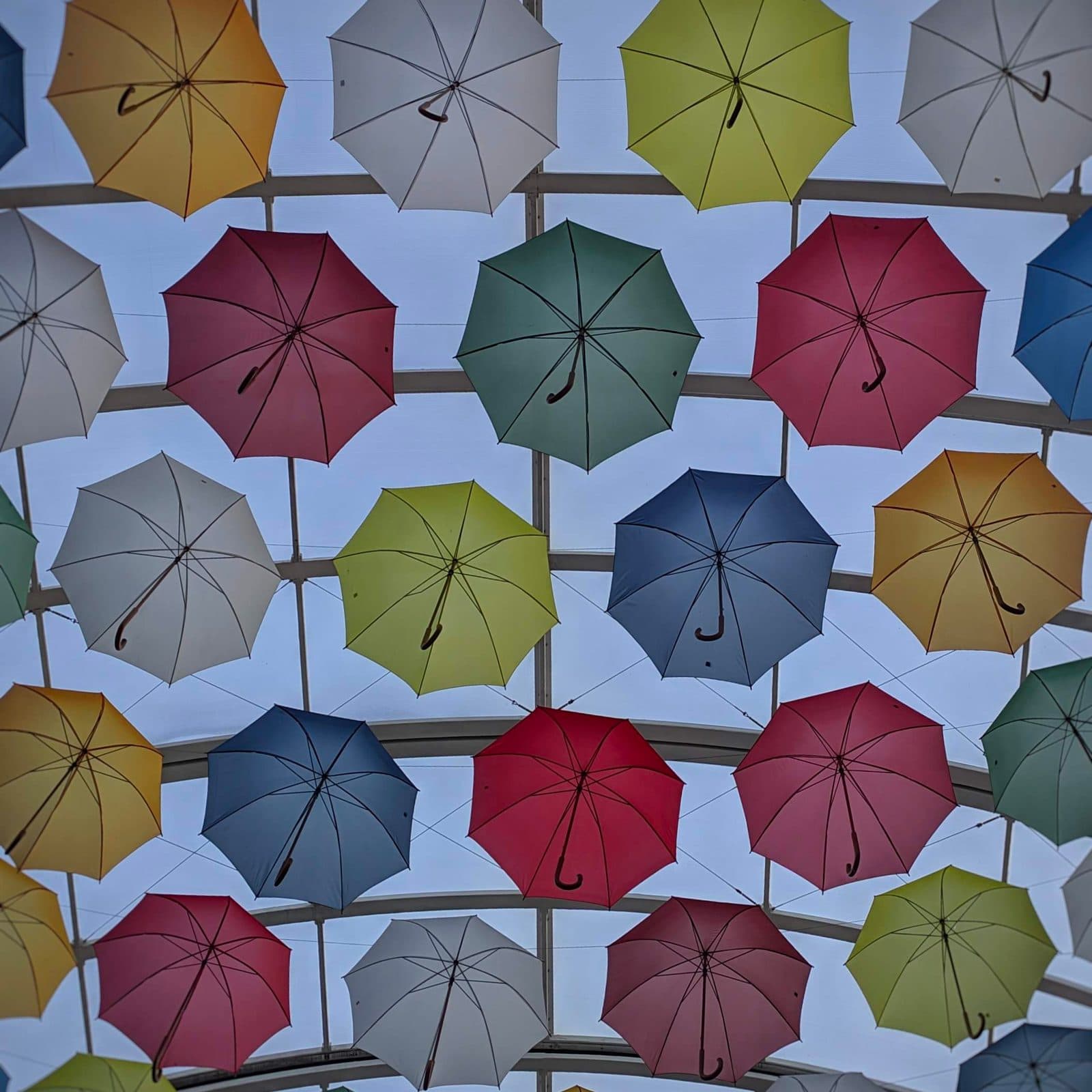 Rows of colourful umbrellas hanging from a glass roof